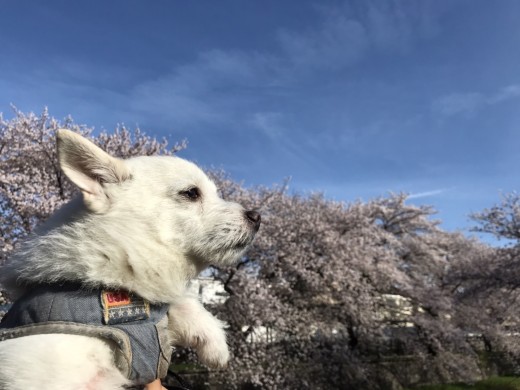 20220401_151923488_iOS