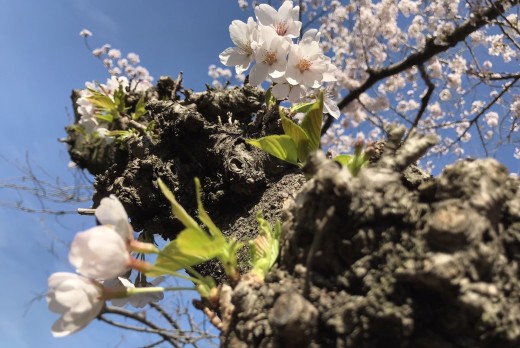 20220401_151924306_iOS