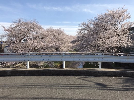 20220401_151924419_iOS