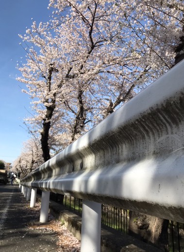 20220401_151924556_iOS