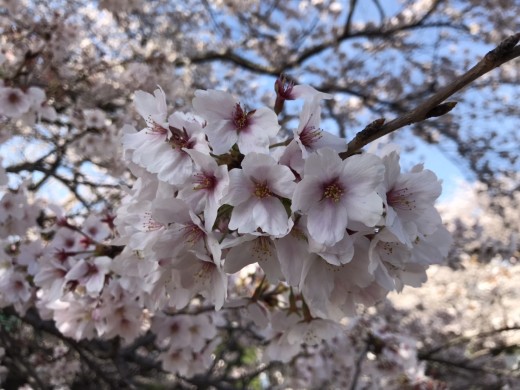 20220401_151924708_iOS