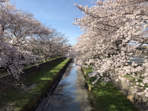 20220401_151925240_iOS